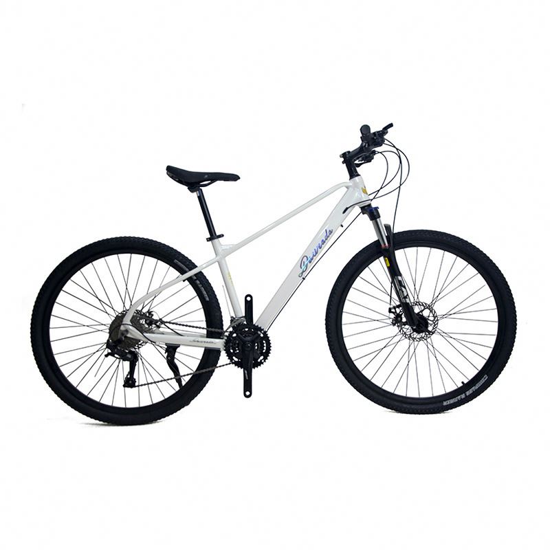 29 inch Aluminum Alloy Mountai - огляд і ціна Mountain Biking Usa