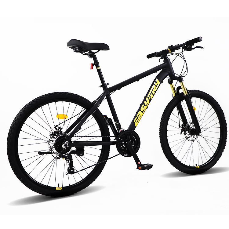 Fast Delivery Bikecmtb Bike OE - огляд і ціна Mountain Biking Usa