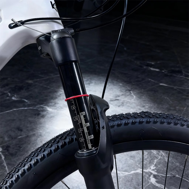 29er Carbon Fiber Mountain Bik - огляд і ціна Mountain Biking Usa